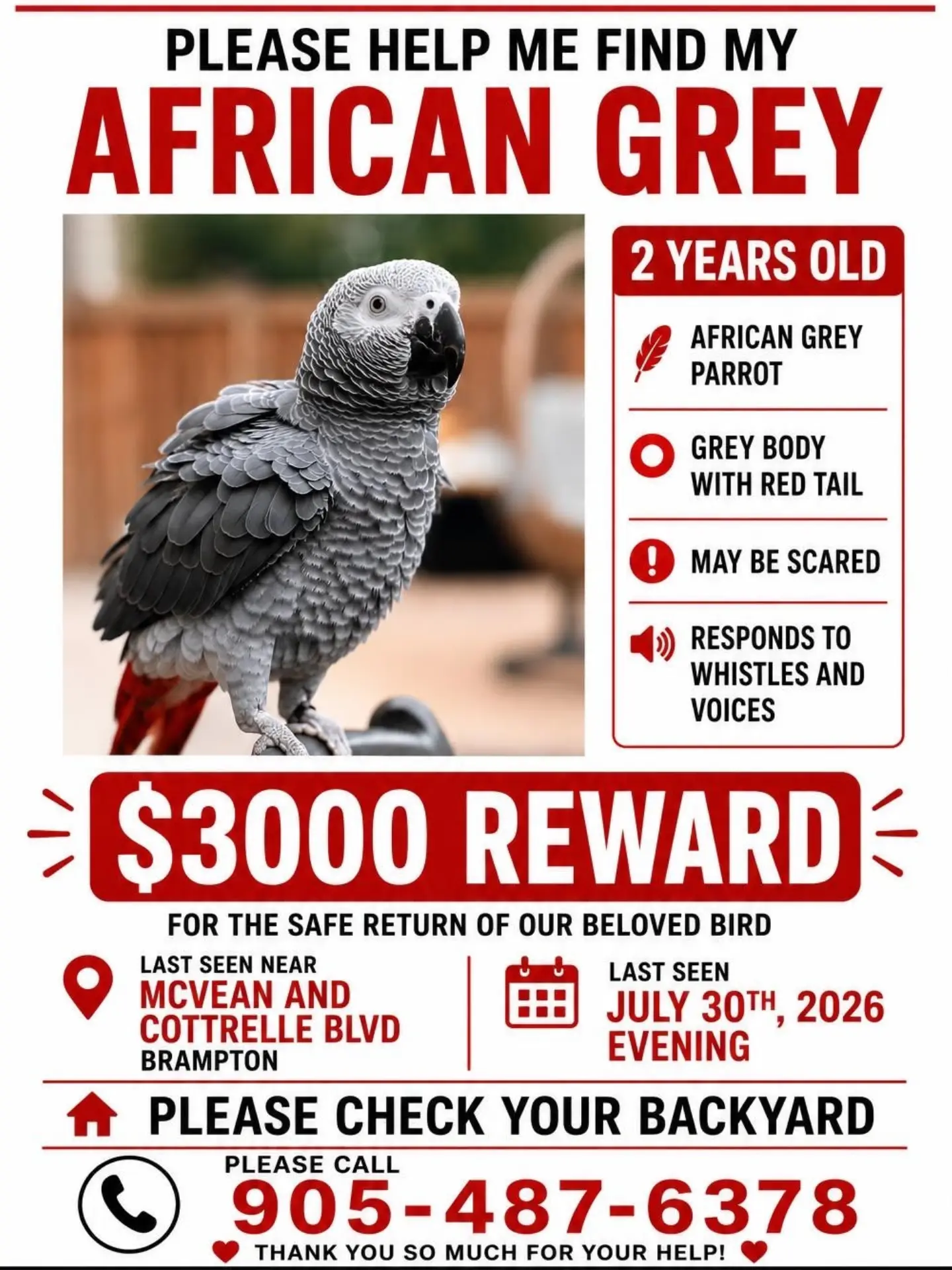 LOST African Grey Parrot in McVean Dr & Cottrelle Blvd, Brampton, ON — Missing African Grey Parrot — Brampton (McVean & Cottrelle)